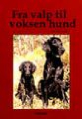 Fra valp til voksen hund