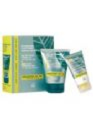 Ginseng Actif Gavesett